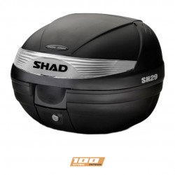 Shad SH29